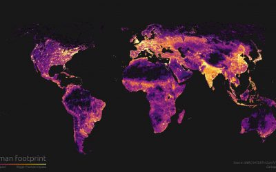 L’impacte de l’espècie humana al planeta